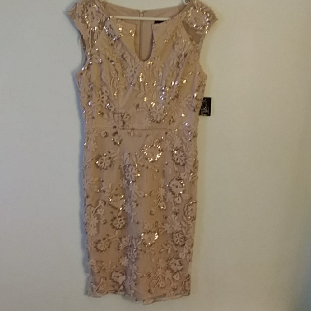 NWT ALEX EVENINGS Pink Sequin Embroidered Dress
